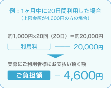 利用例